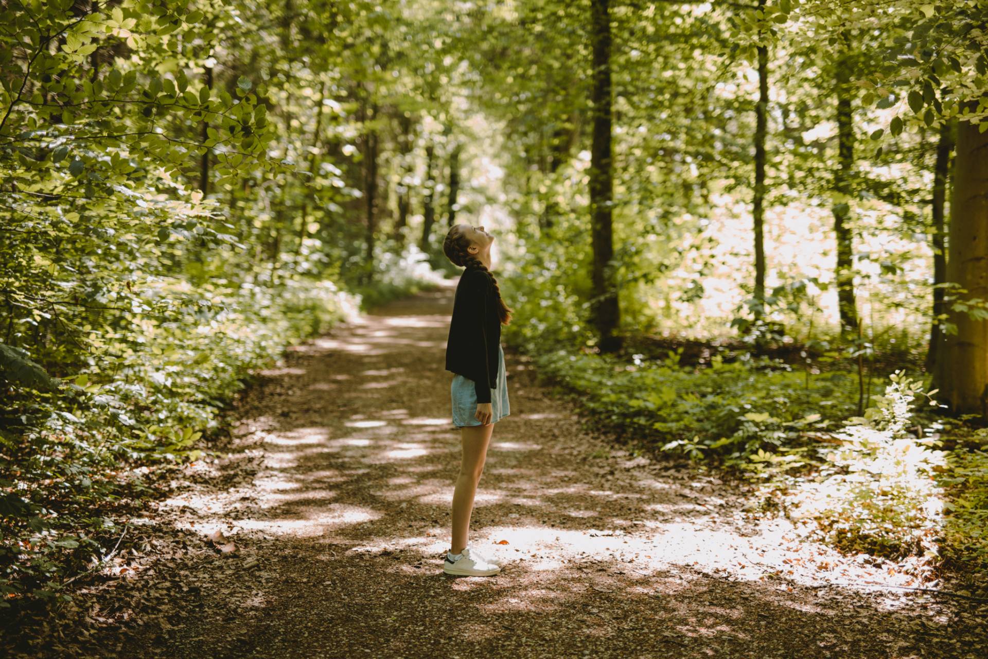 Waldhochschule Waldhochschule