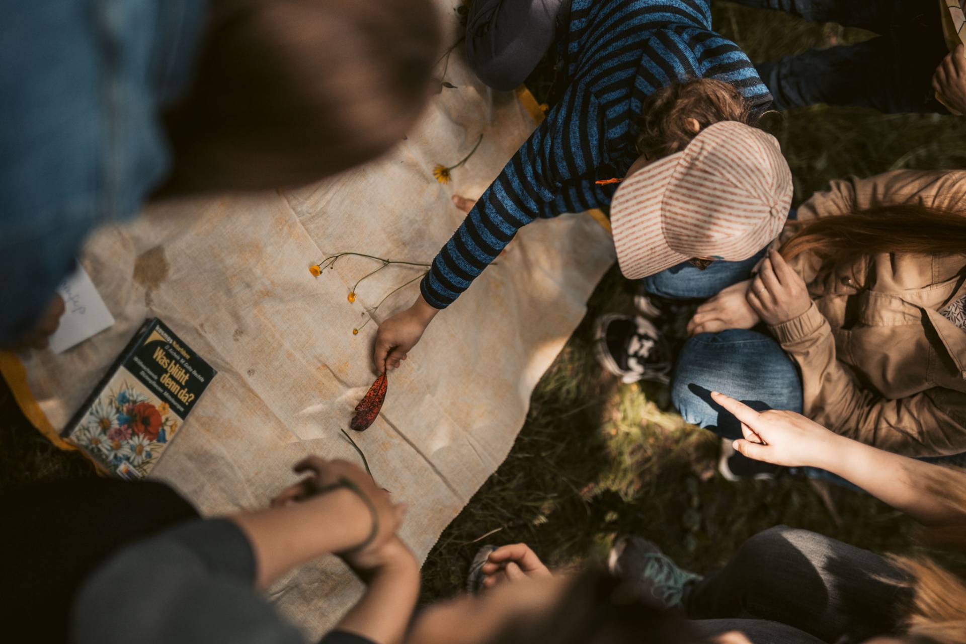 Waldhochschule Waldhochschule