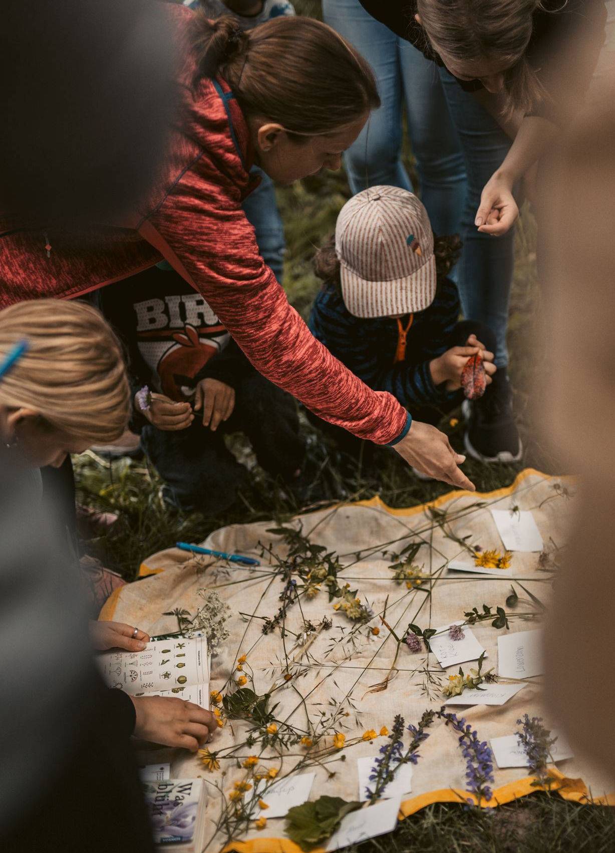 Waldhochschule Waldhochschule