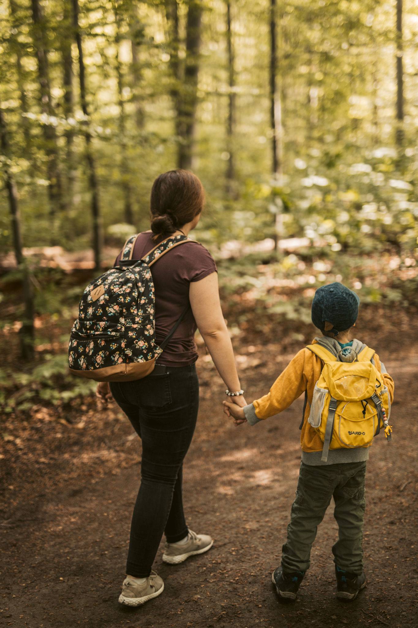 Waldhochschule Waldhochschule