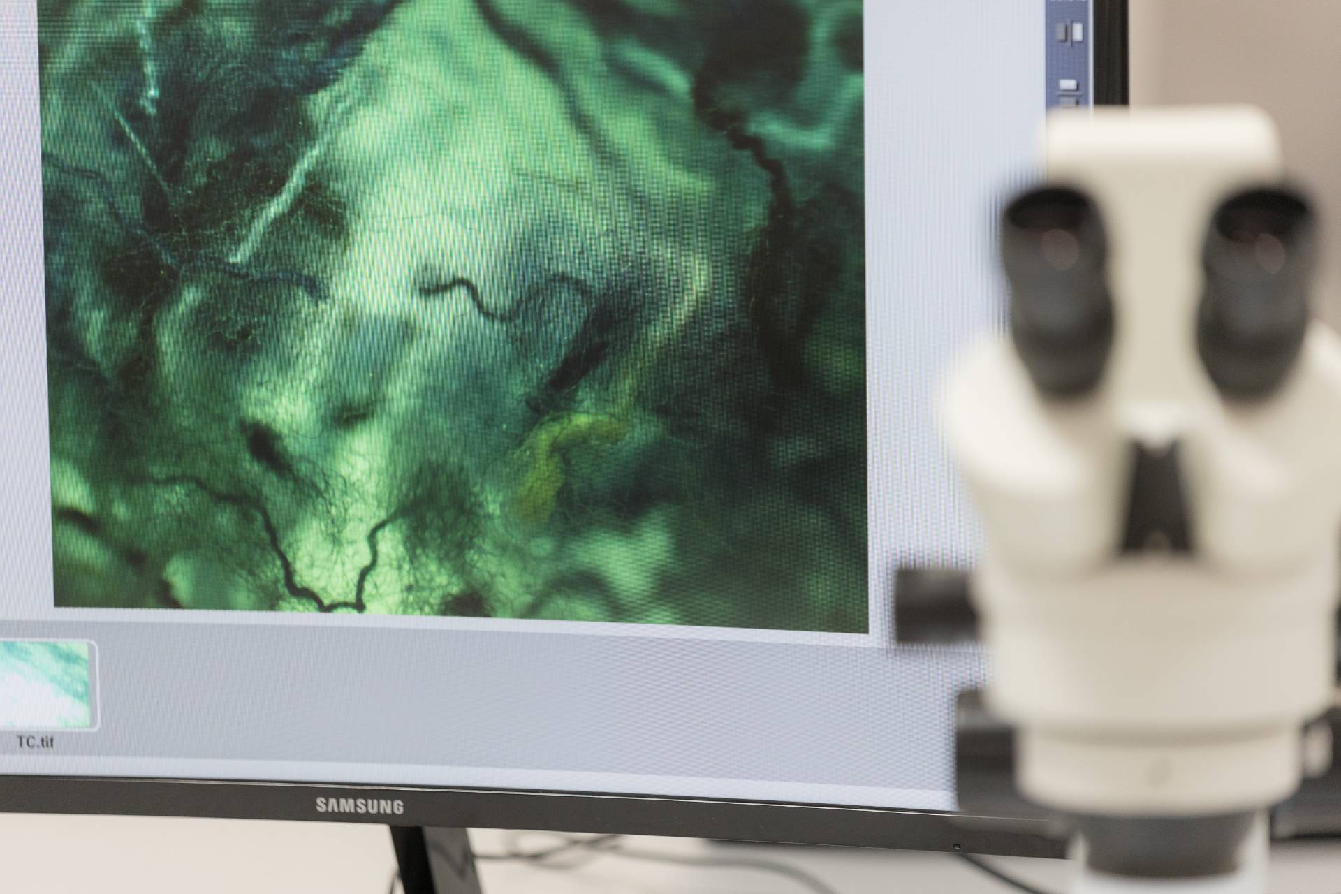 Analyse des Materials 