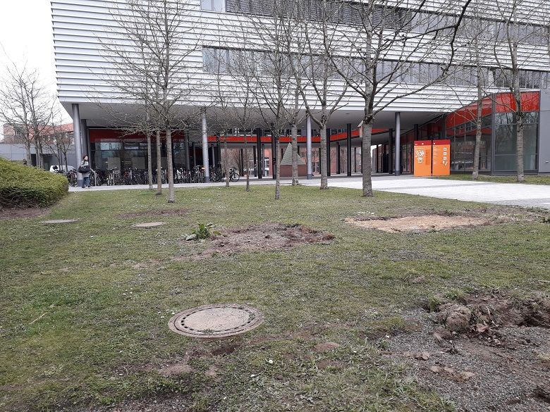 Urban Gardening - der abgebaute Platz