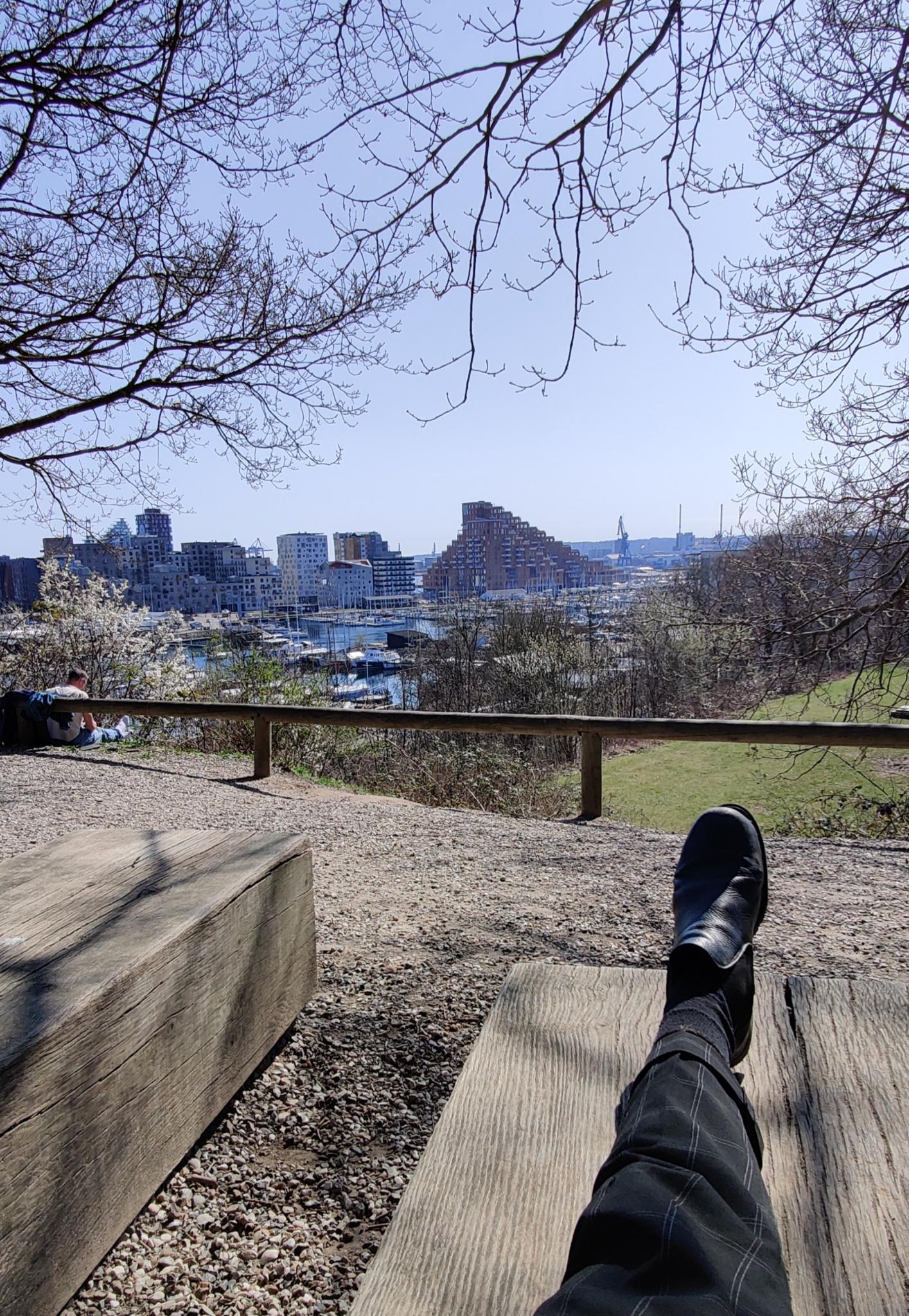 Anhöhe im Park/Stadtwald mit Blick auf Neubau-Hafenviertel Aarhus Ø und dessen interessante Architektur