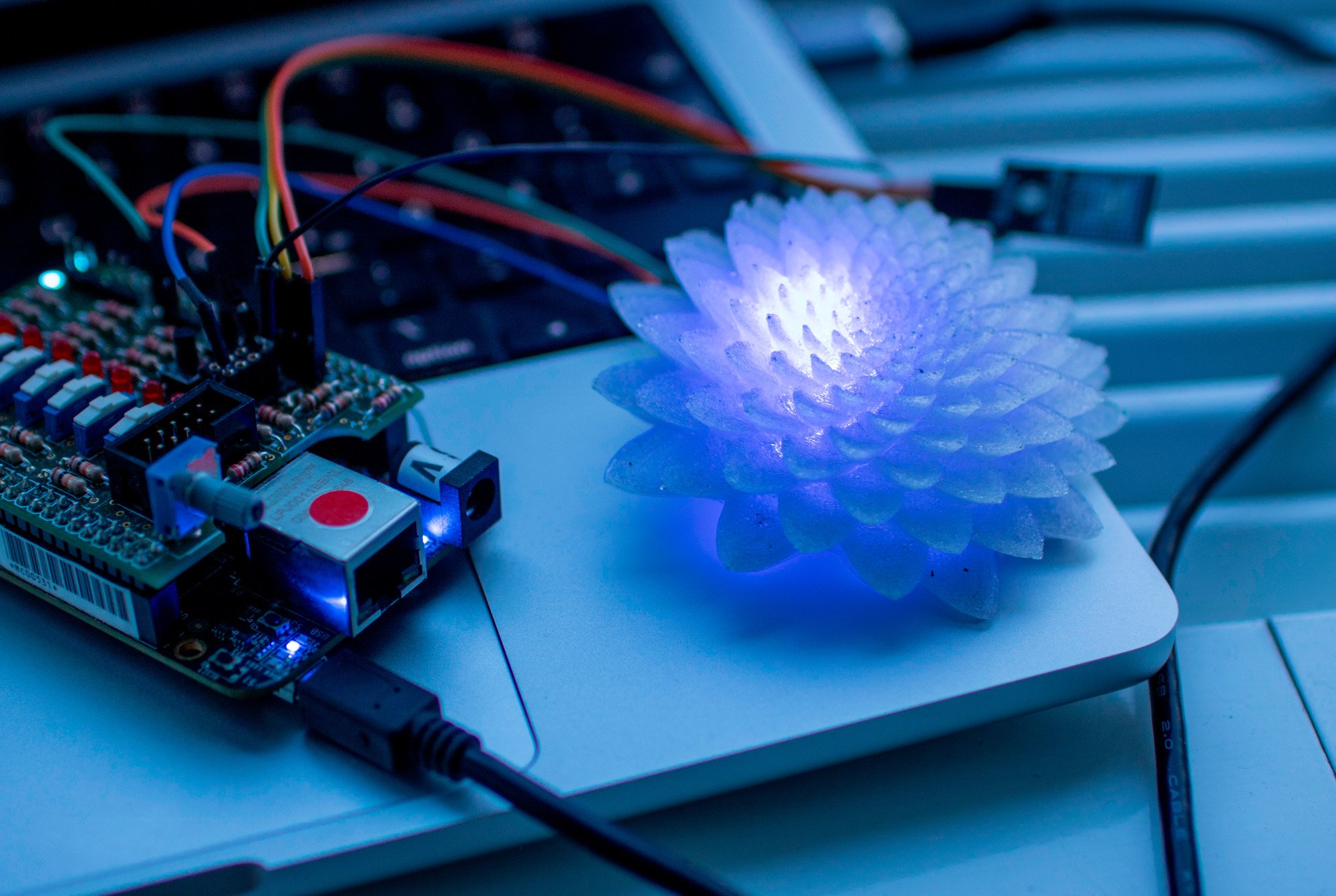 Sunlight Flower zur Anzeige des UV-Index