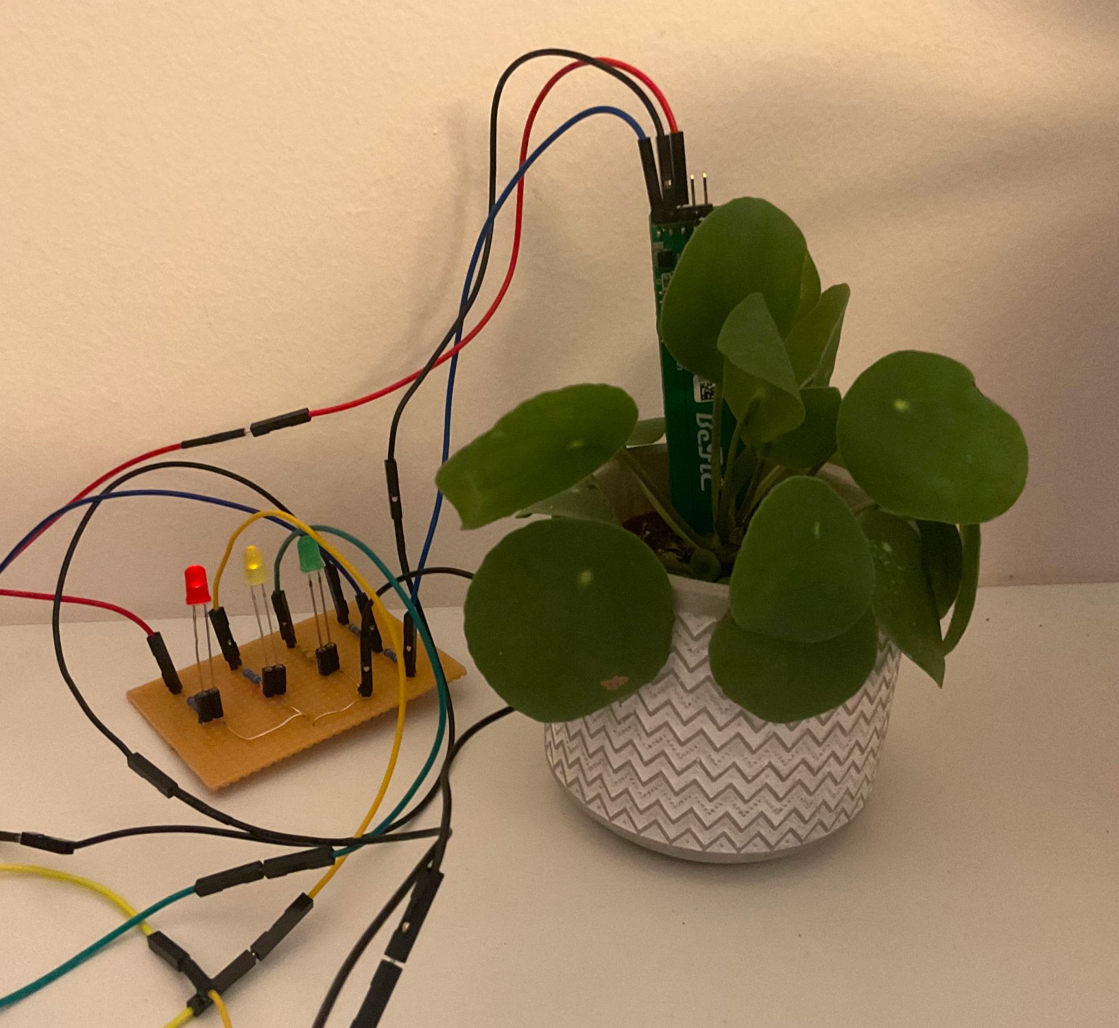 Grüner Zeigefinger zur Feuchtigkeitsmessung