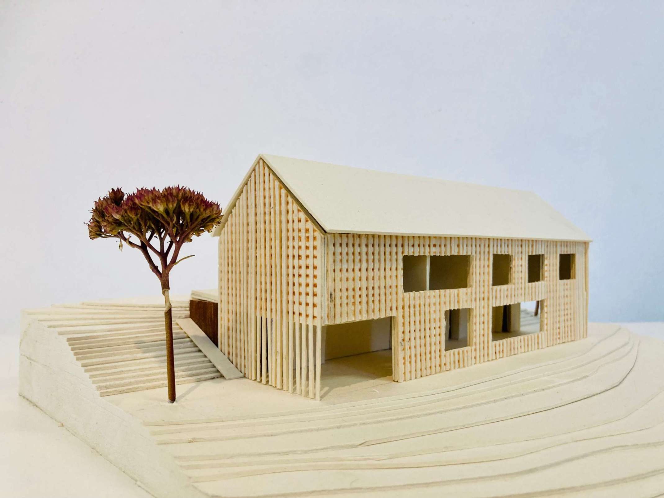 Projekt: Eva Nußrainer und Katharina Probst Projekt: Eva Nußrainer und Katharina Probst