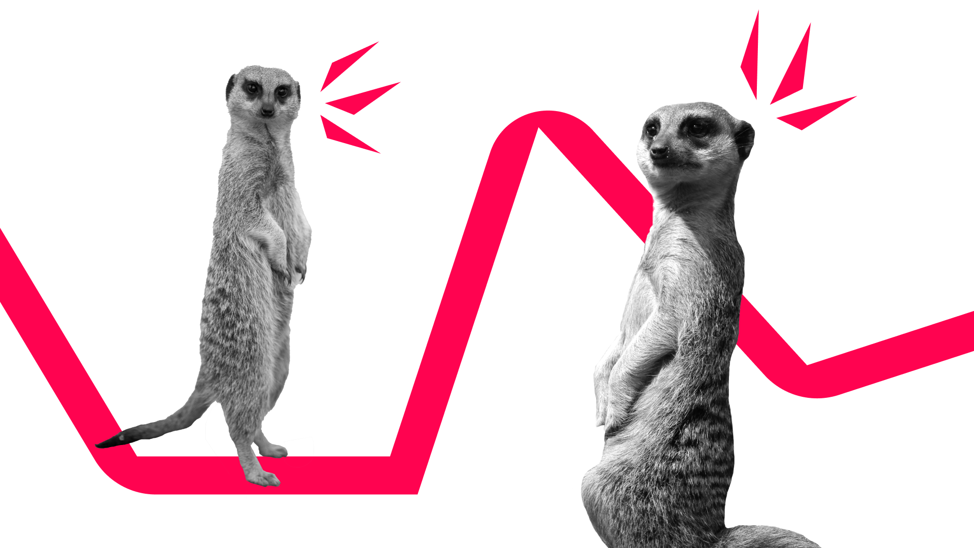 Teaser Partnerveranstaltungen