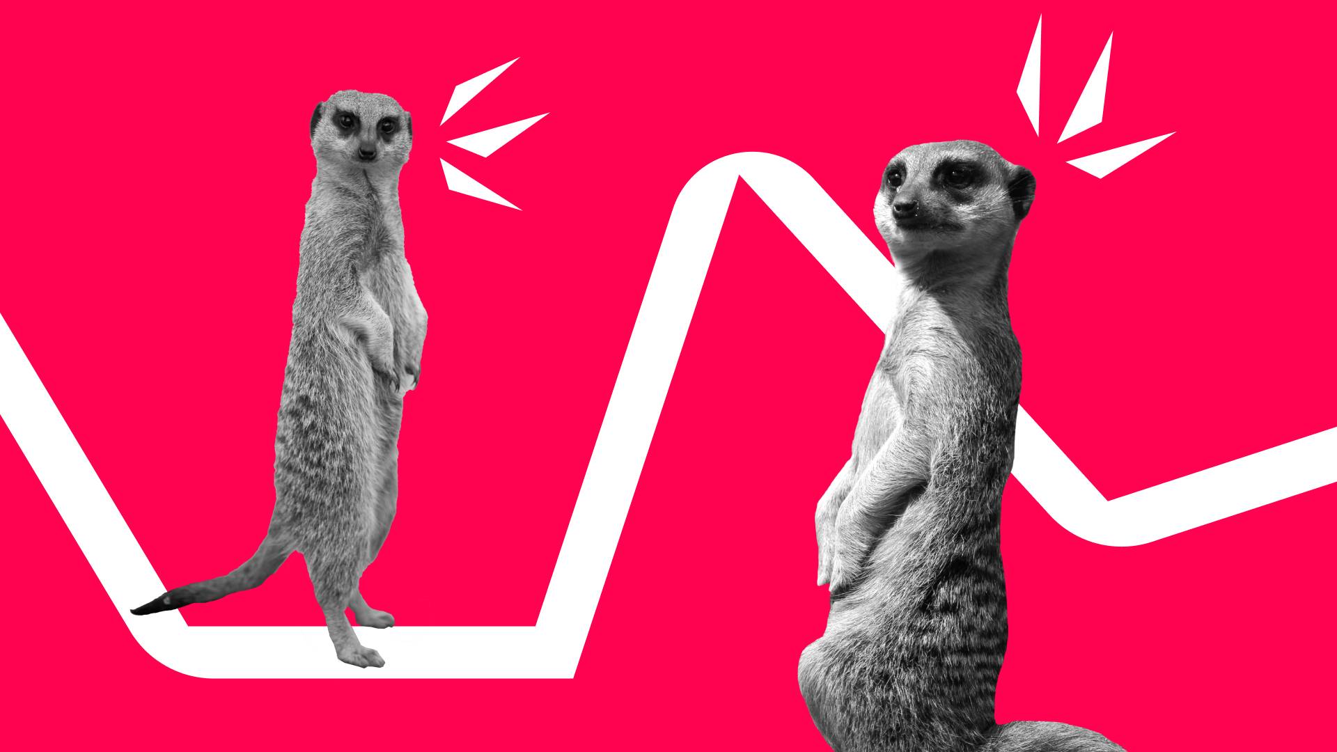 Teaser Partnerveranstaltungen Teaser Partnerveranstaltungen