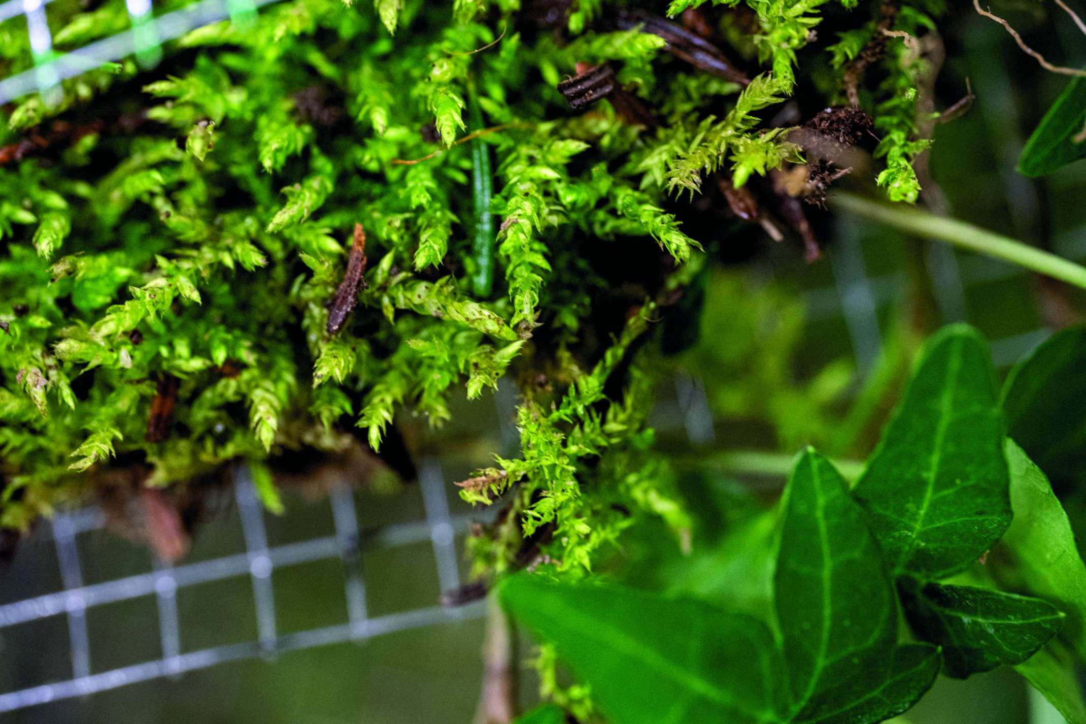 Studierende bei der Arbeit im Kooperationsprojekt Transformative Spaces 