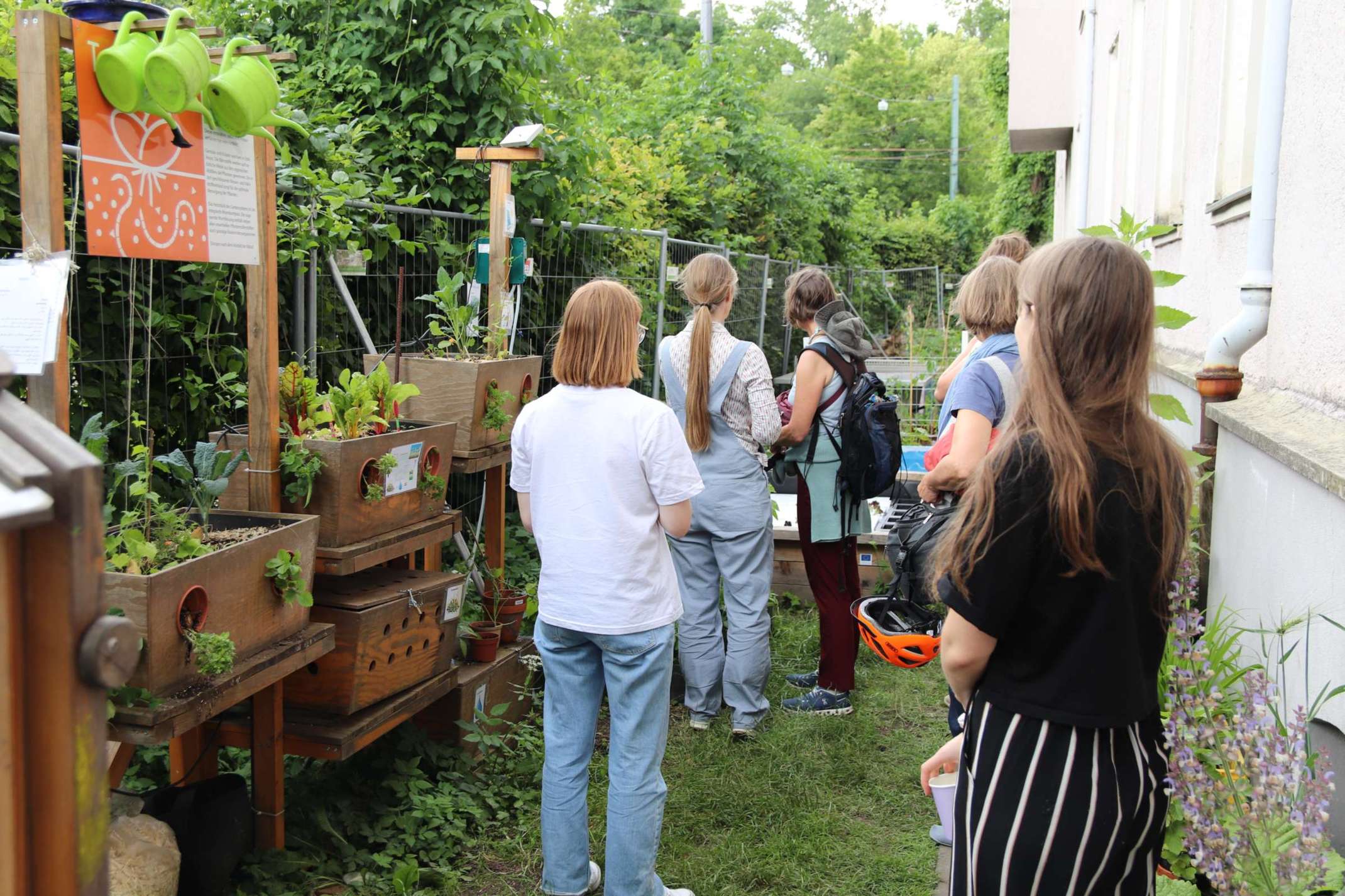 Betrachten der Beete