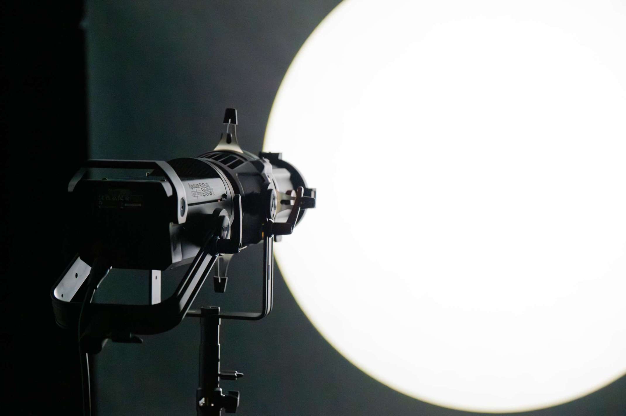 Spotlight Profilansicht