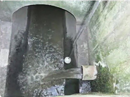 Schlammstabilisierung