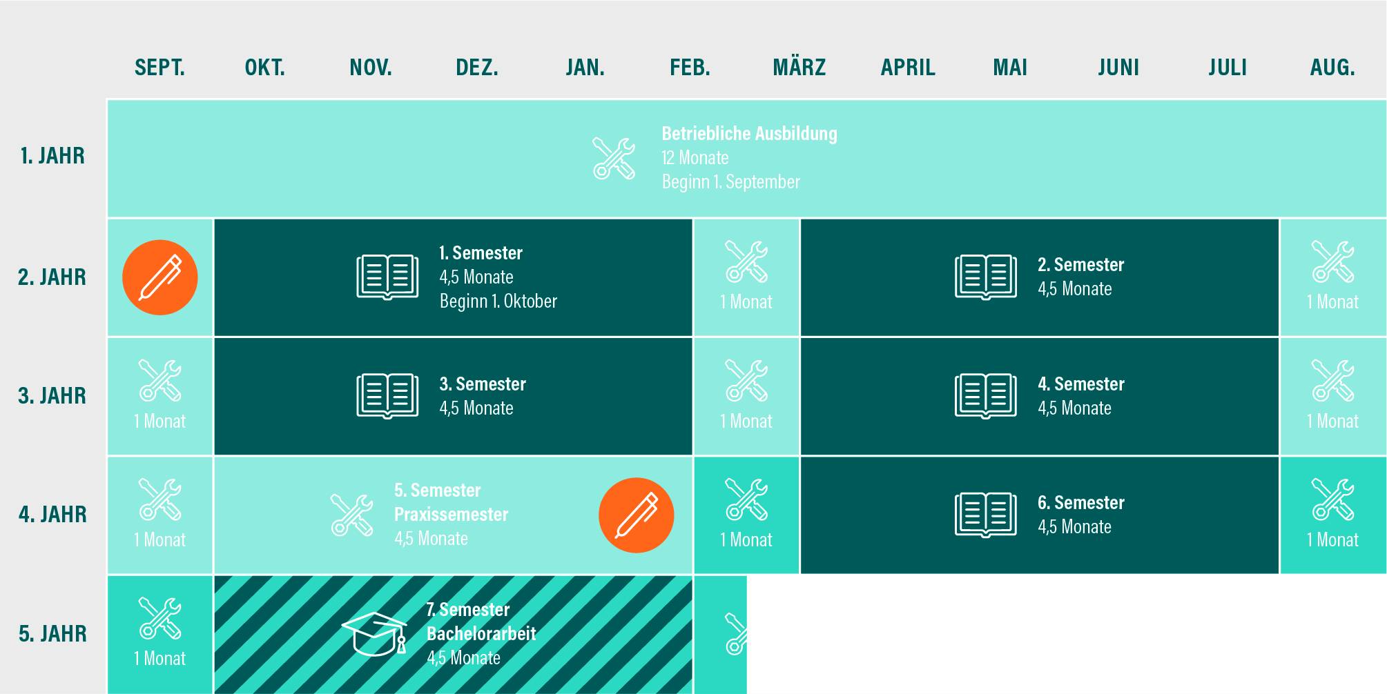 Studienverlauf Verbundstudium