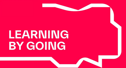 LEARNING BY GOING