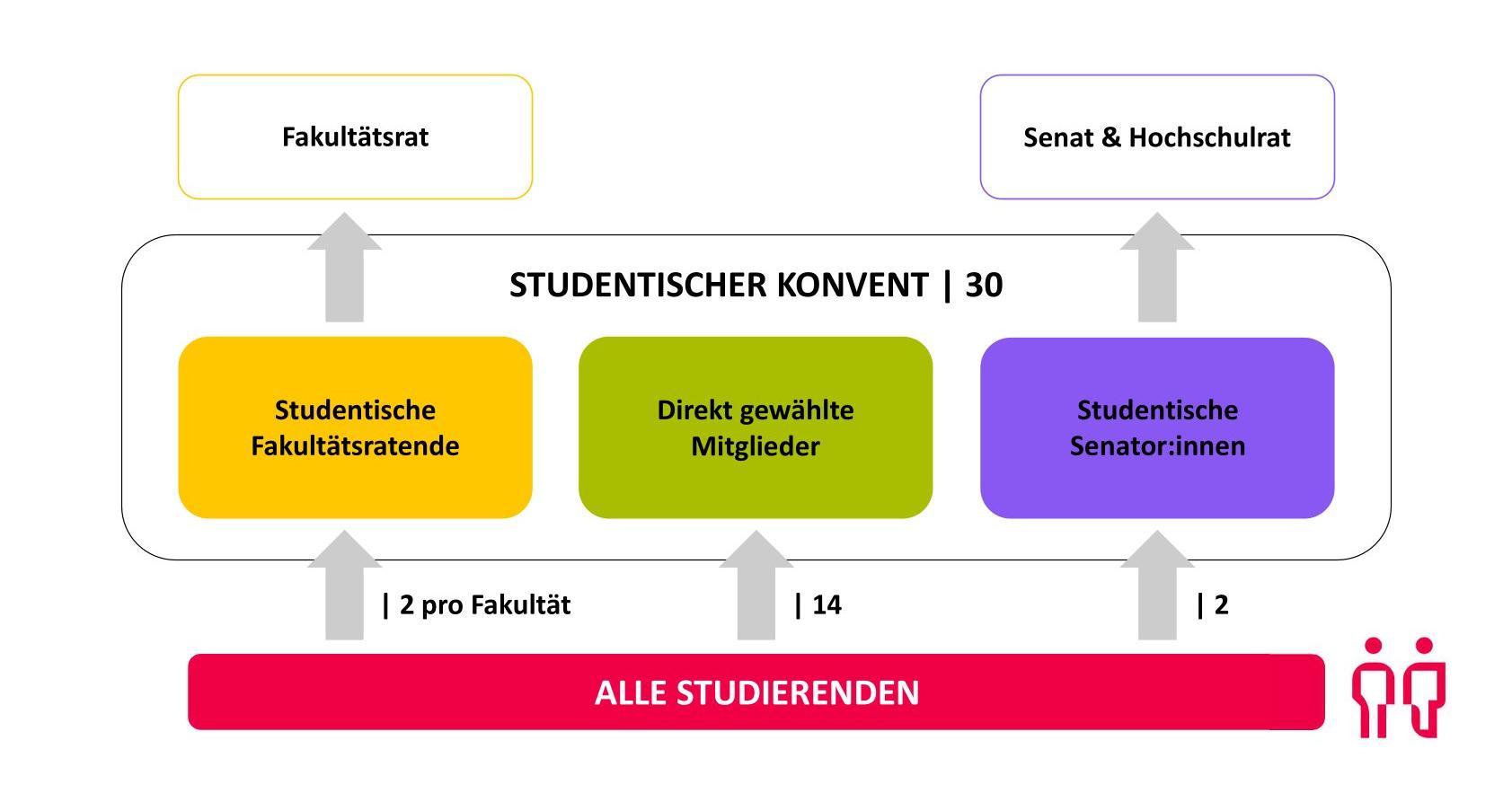 Graphik: Aufbau des studentischen Konvents