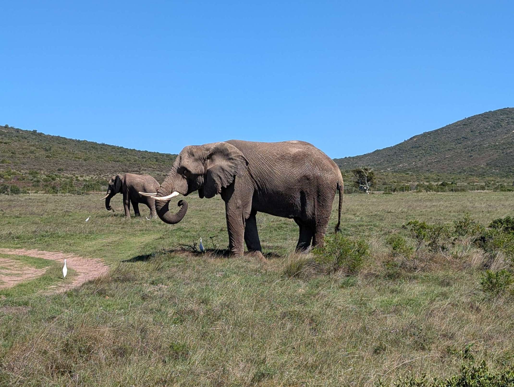 Elefanten im Wildreservat