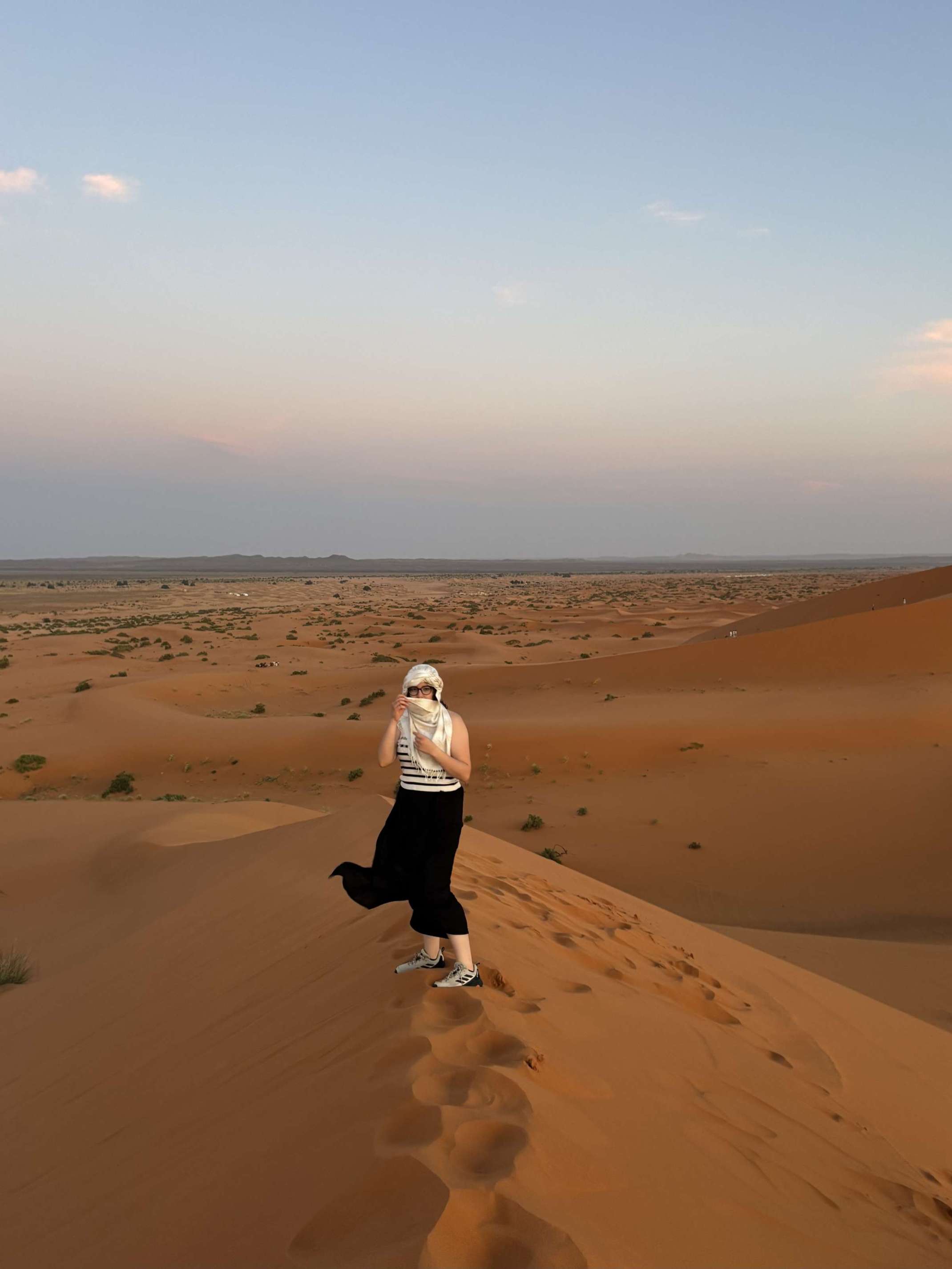 In den Dünen der Wüste Sahara 