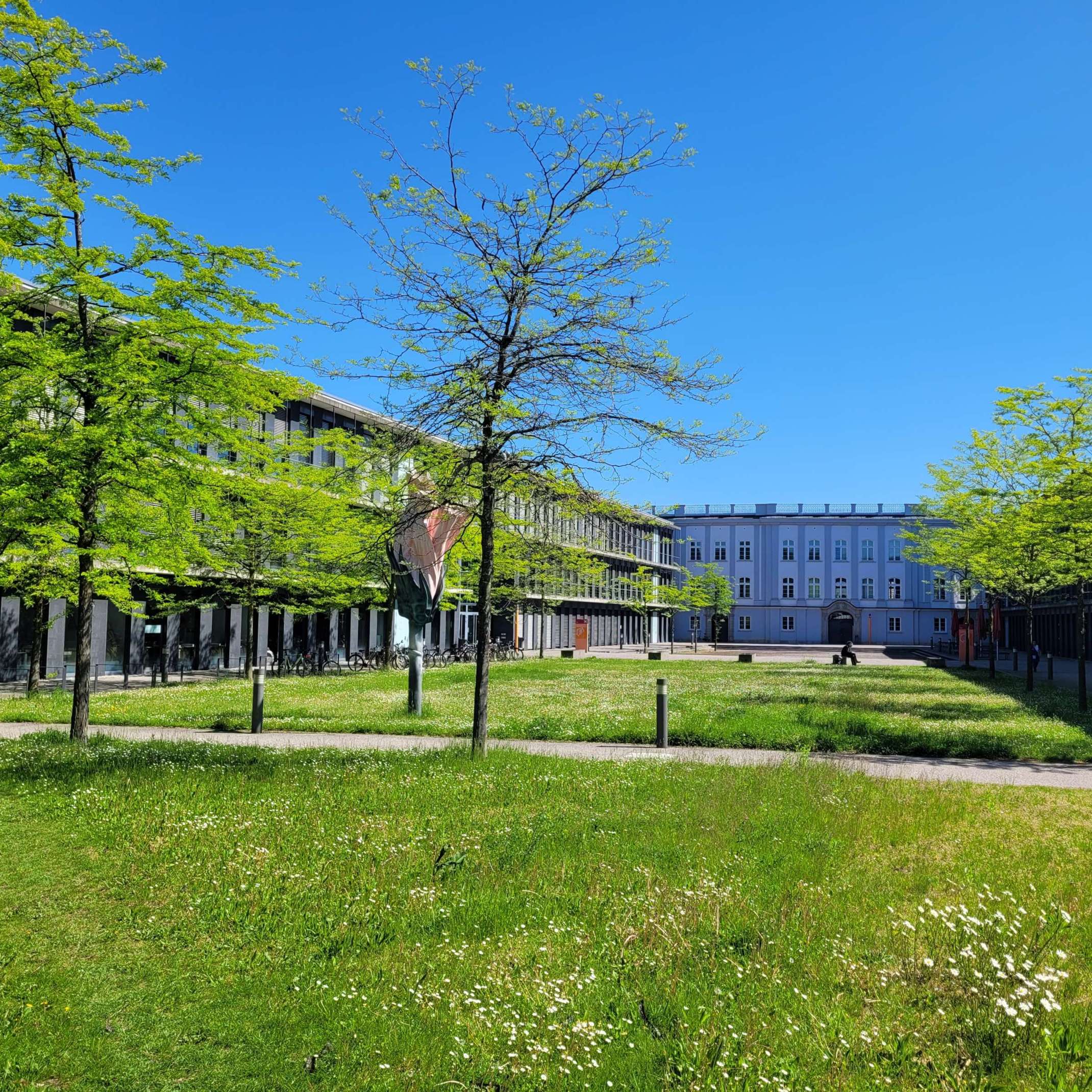 Glühbirne mit Klima-Symbolen