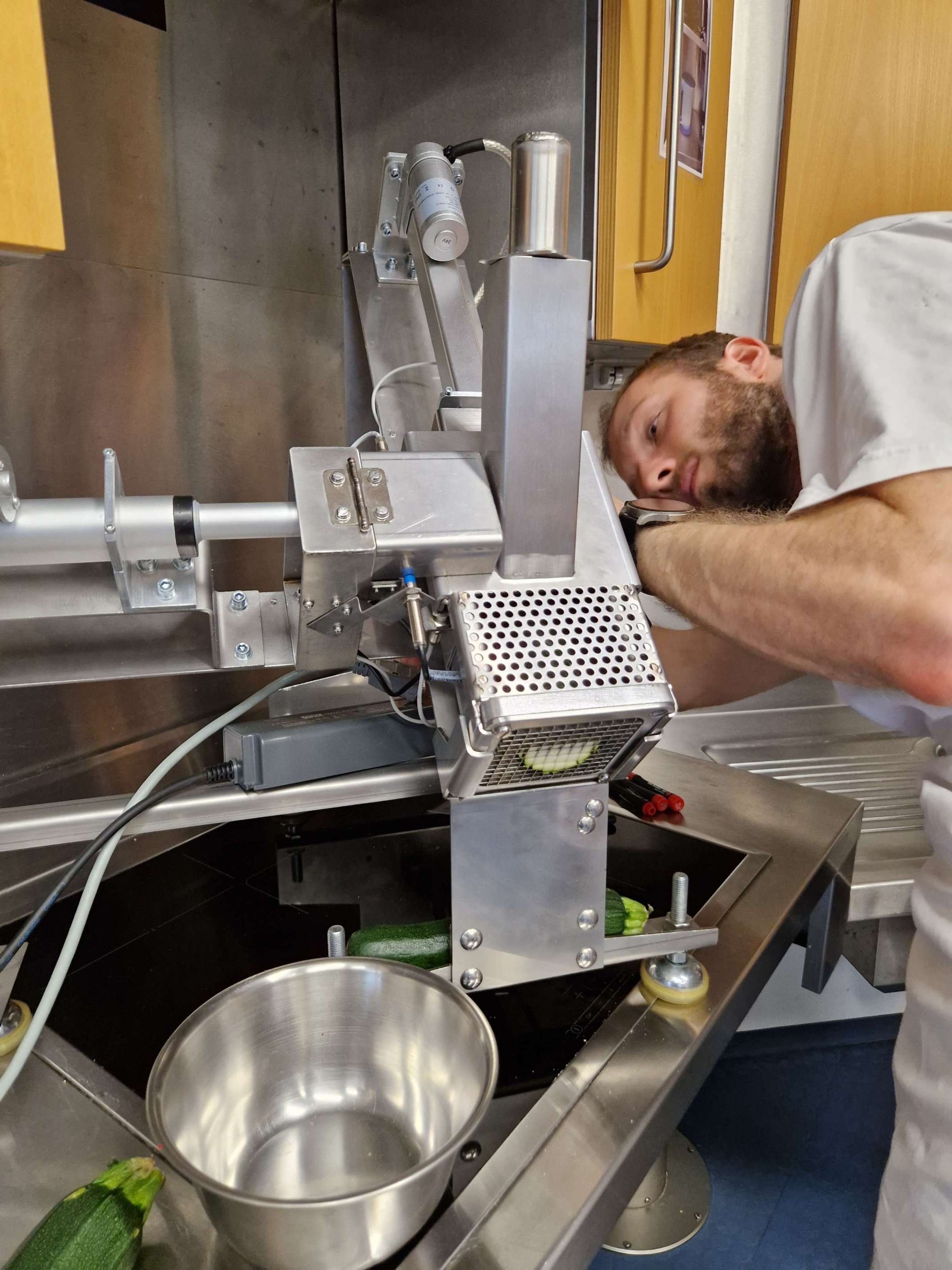 Projektpräsentation FFH