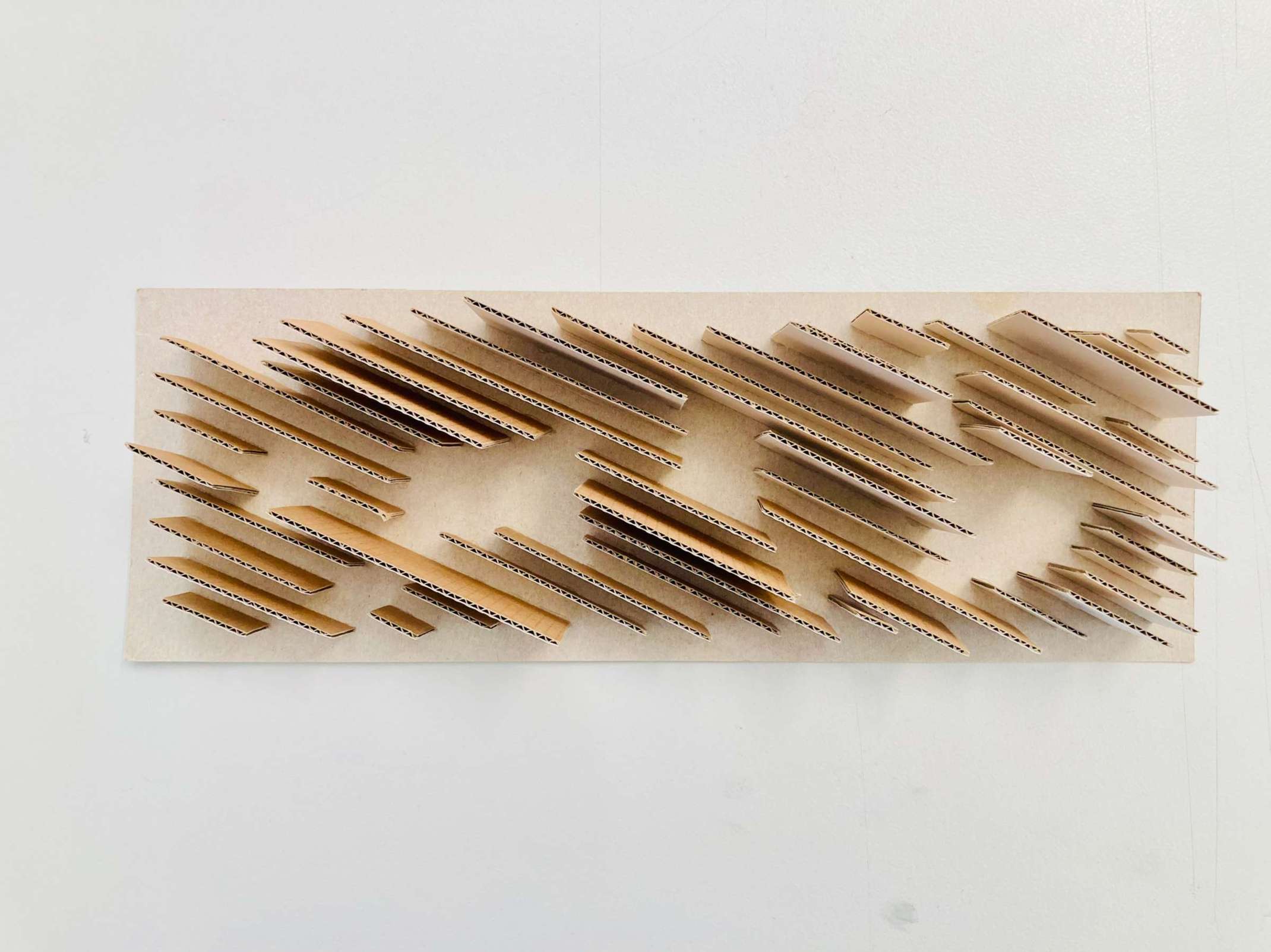 Entwurf: Elias Schäfer