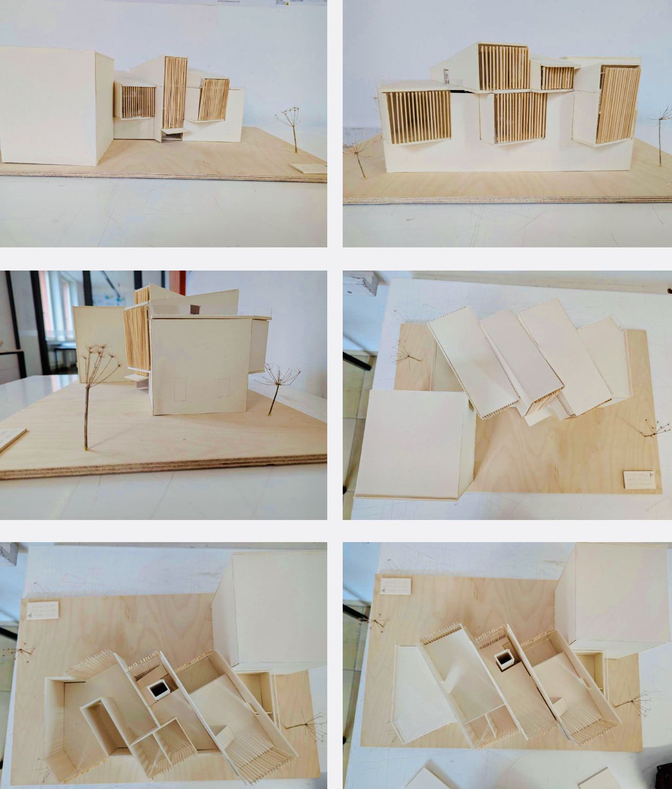 Projekt: Elina Wörle