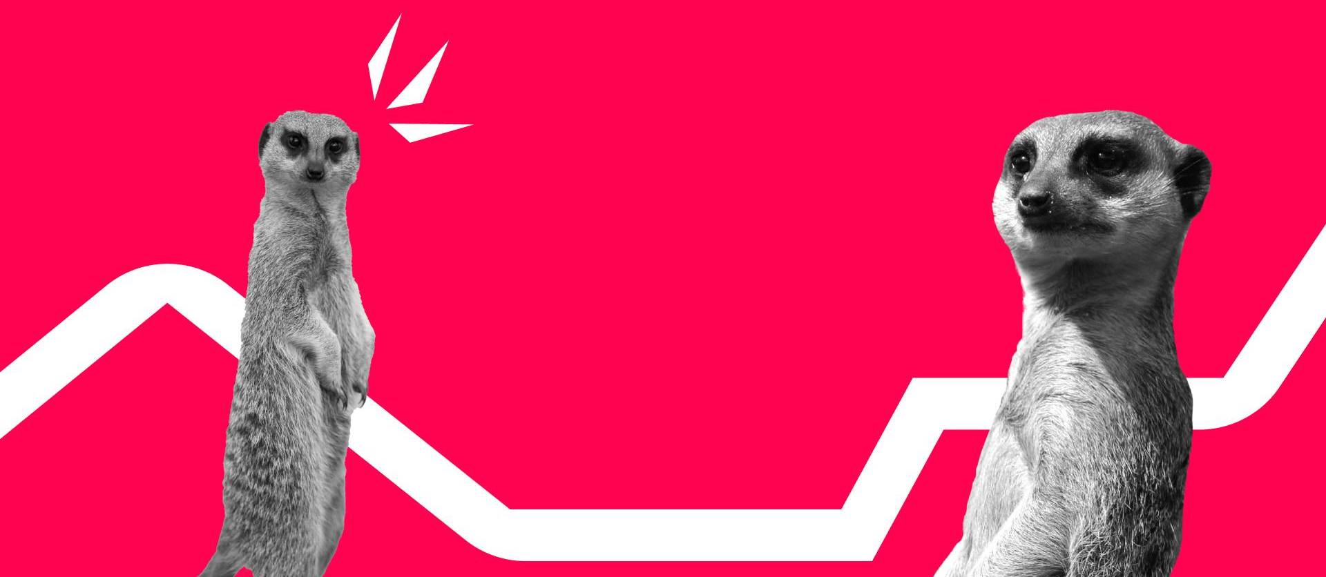 Teaser Funkenwerk Newsletter