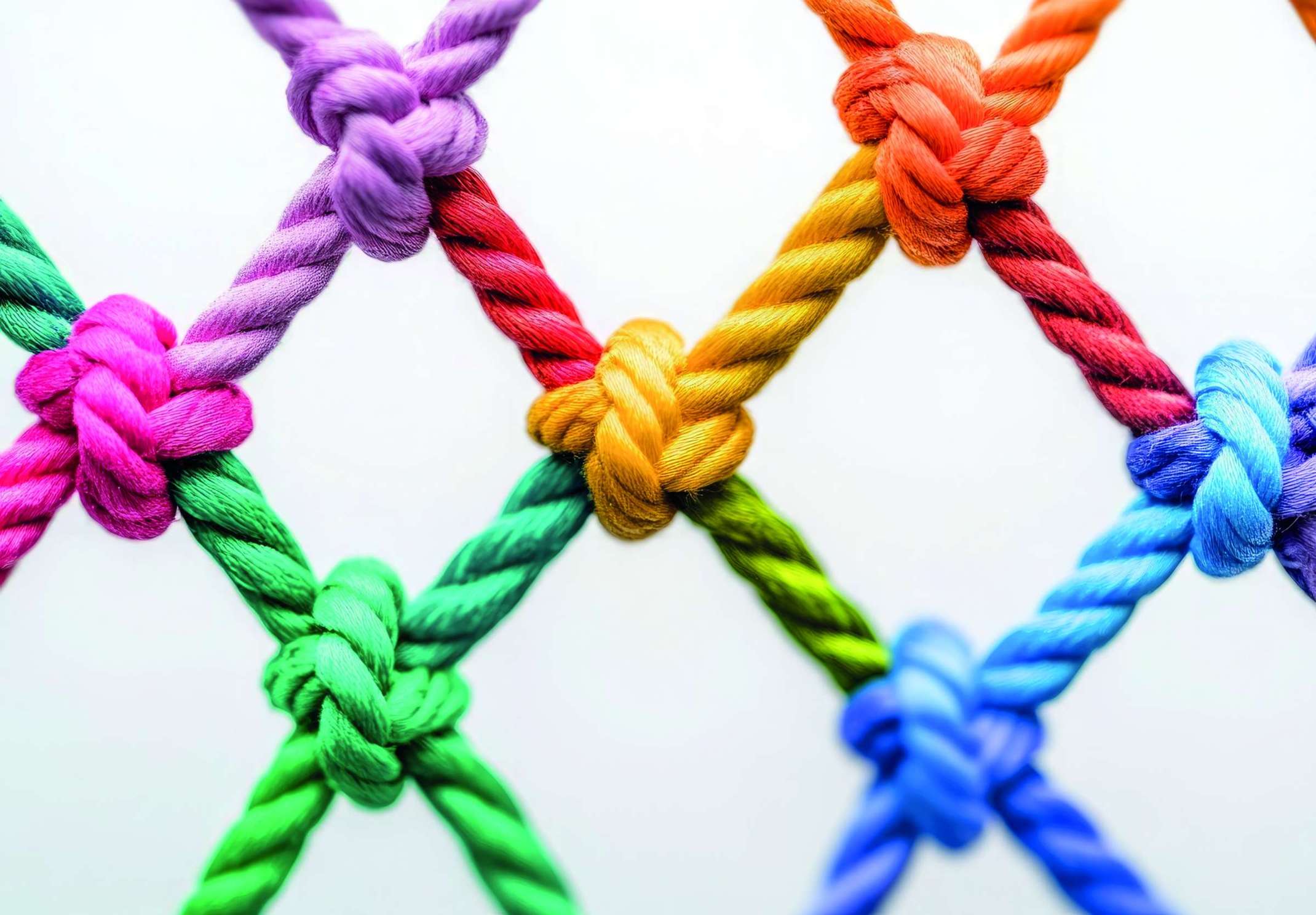 THA School of Business Network THA School of Business Network