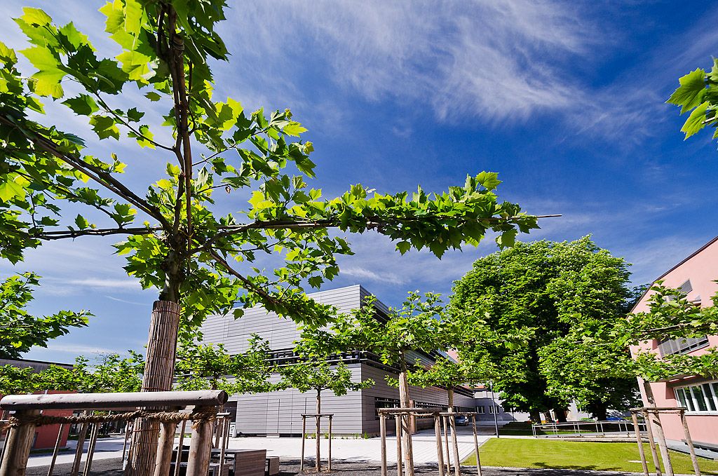 Campus am Brunnenlech