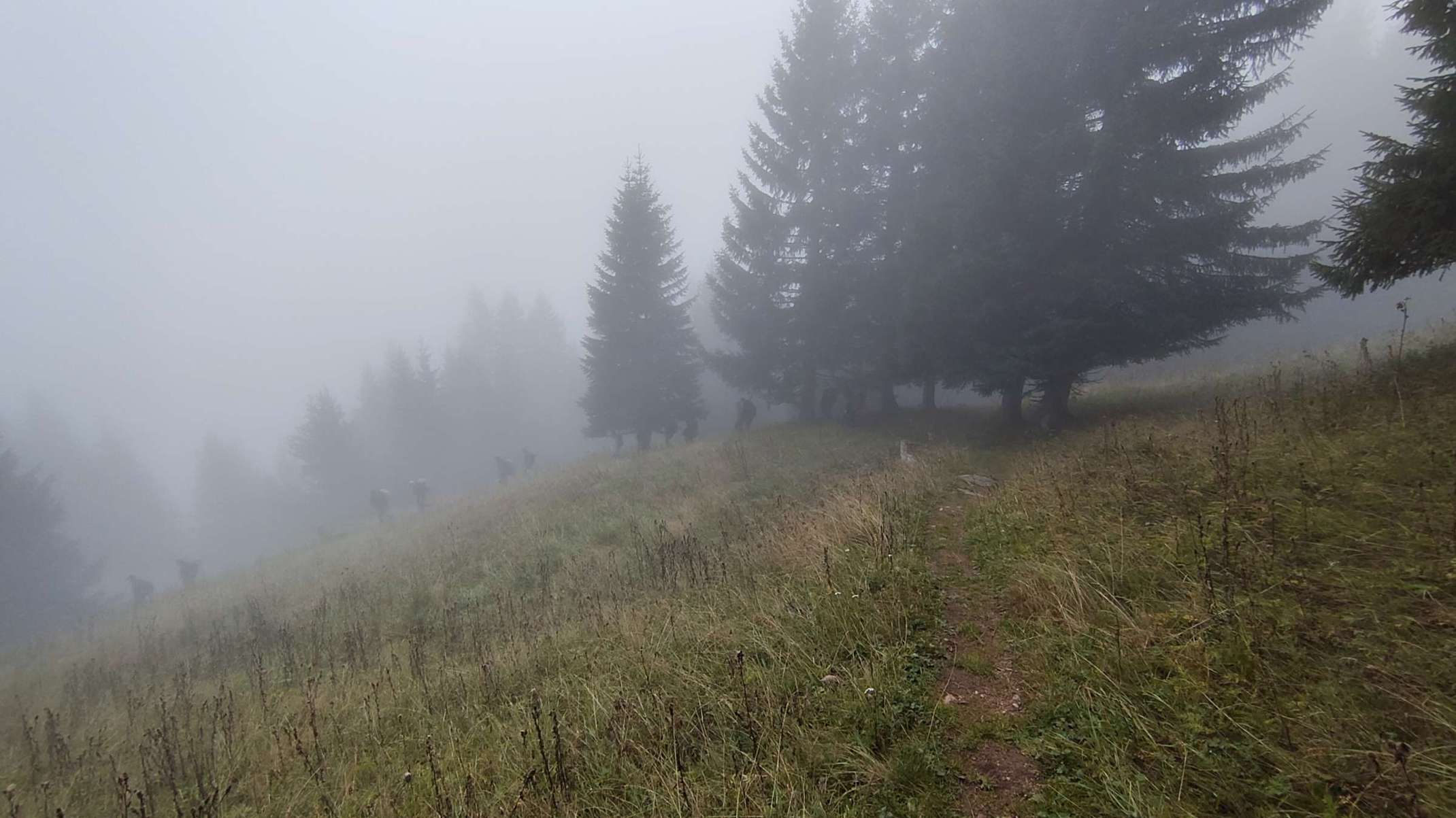 Stimmungsvoller Aufstieg im Nebel. Foto: Sonja Schön.