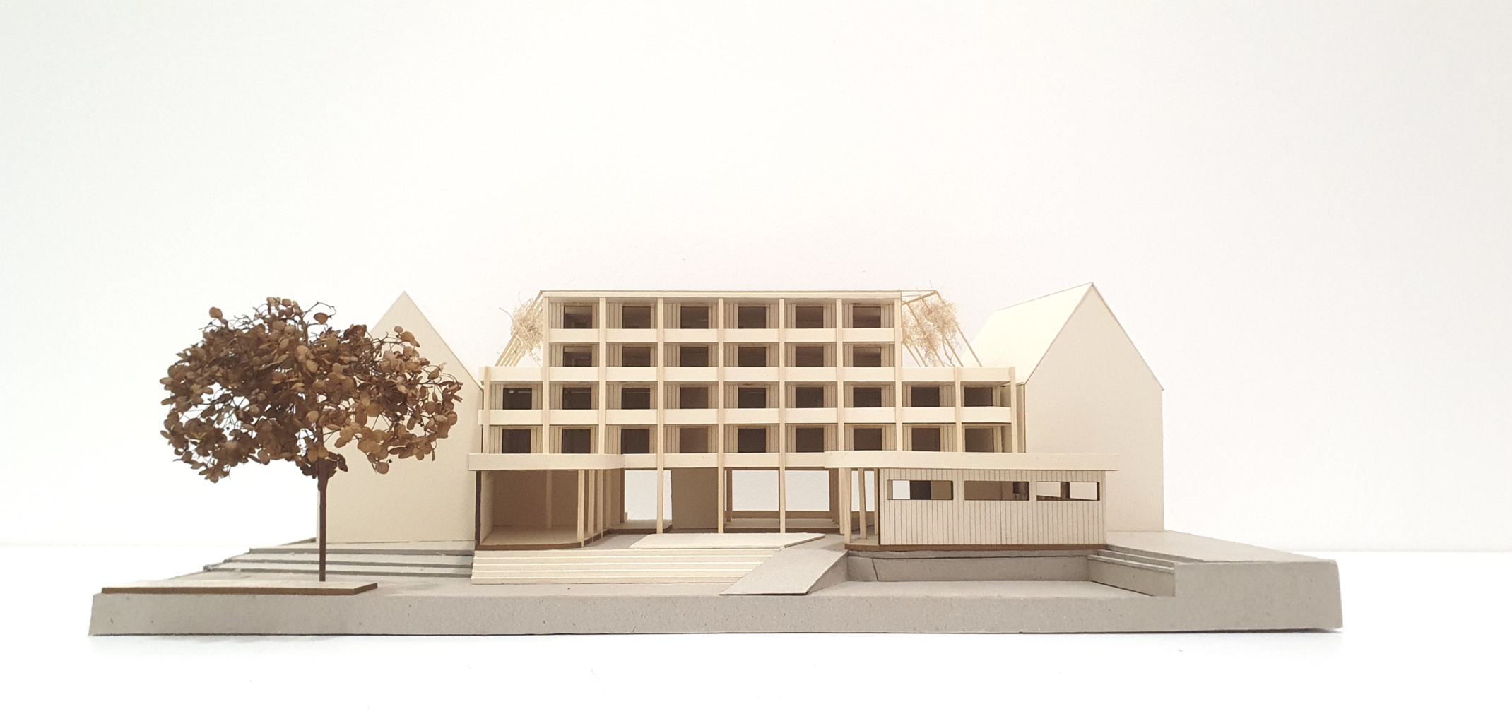 Neil Buffinton und Tolan Bürger