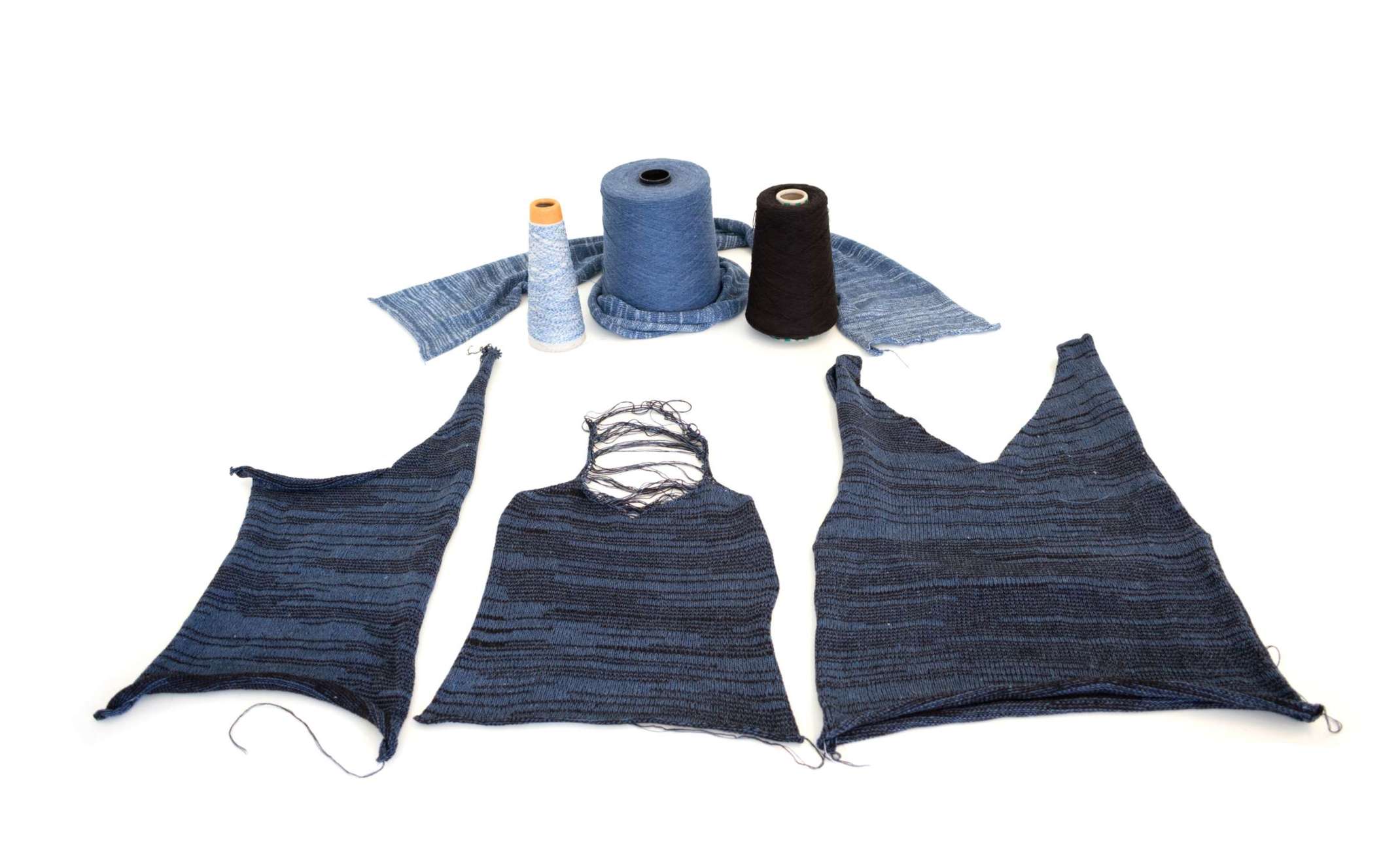 Lovebugs and Recycling