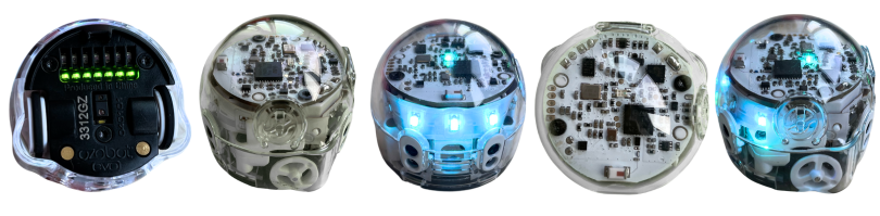 Meeting Owl Meeting Owl