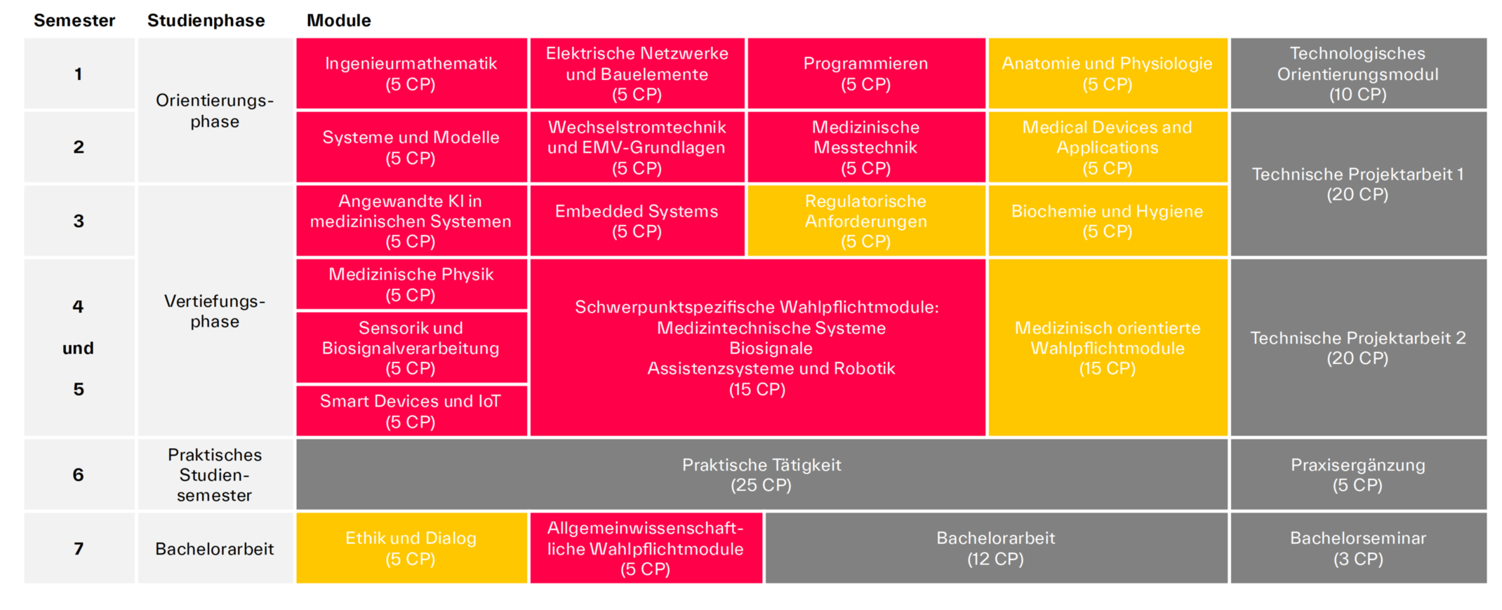 Studienverlaufsplan (vorläufige Version vom 19.12.2025)