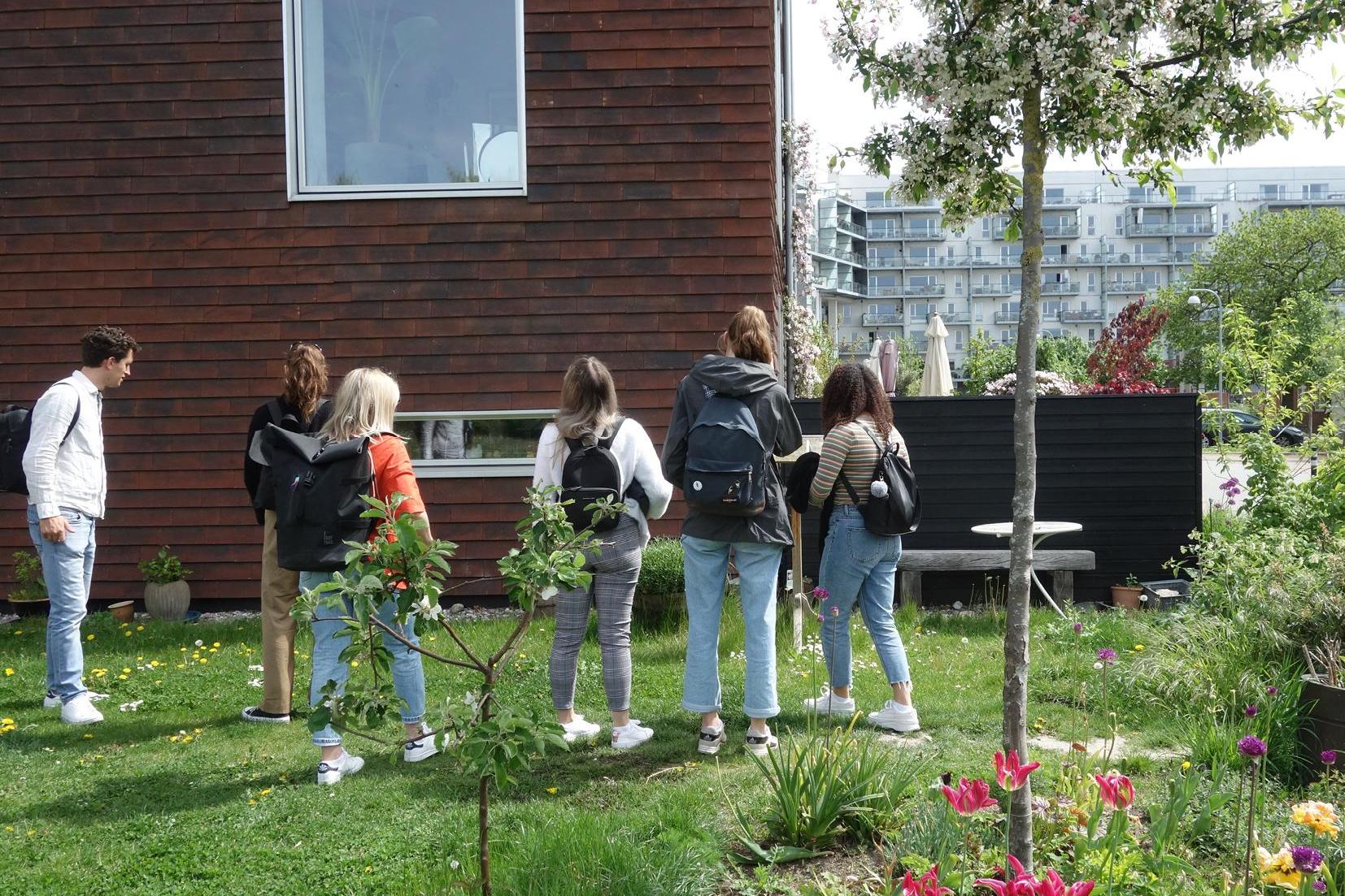 die Kantezone